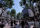 La Rambla